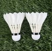 Derbyshire Badminton