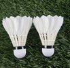 Derbyshire Badminton