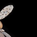 Derbyshire Badminton